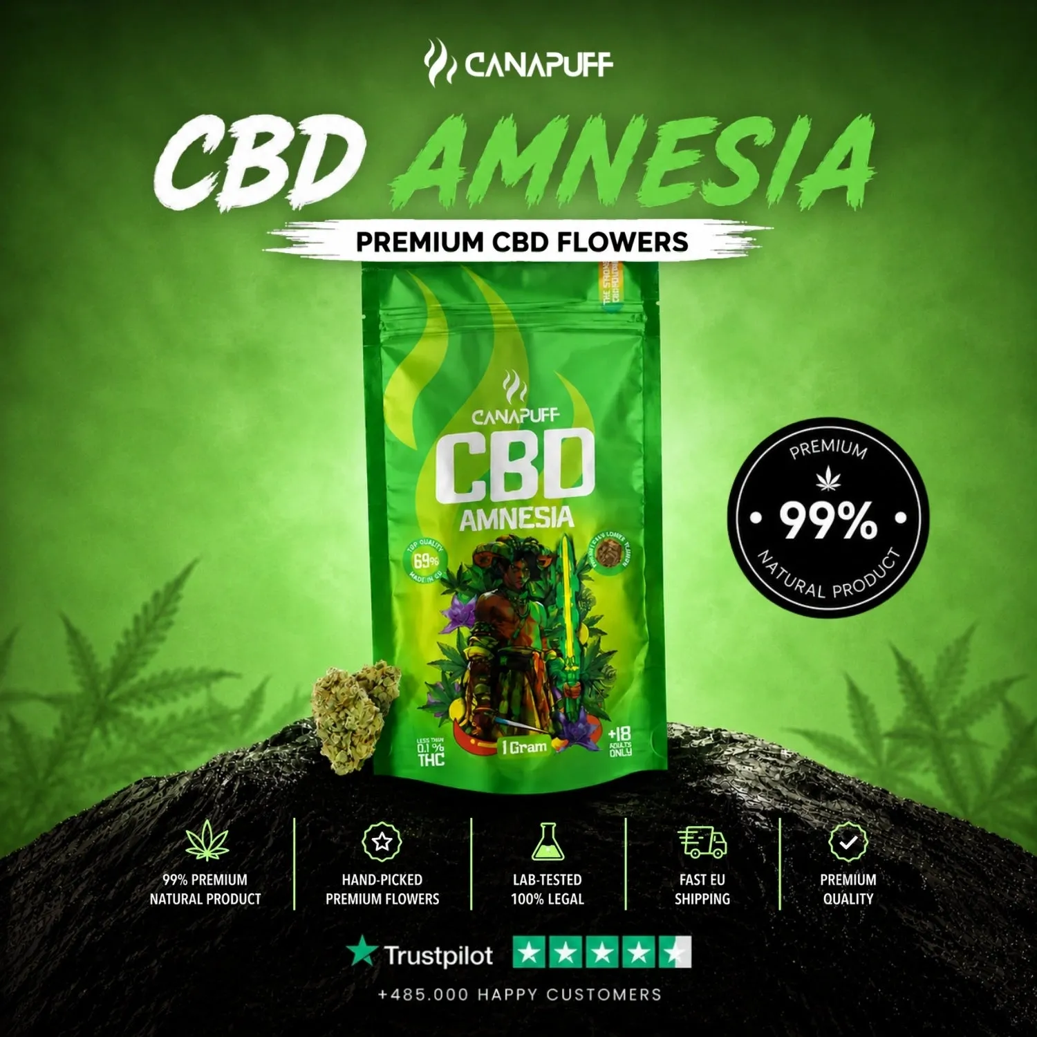 Canapuff Amnesia 69% CBD-blomst 1g krydder og urt