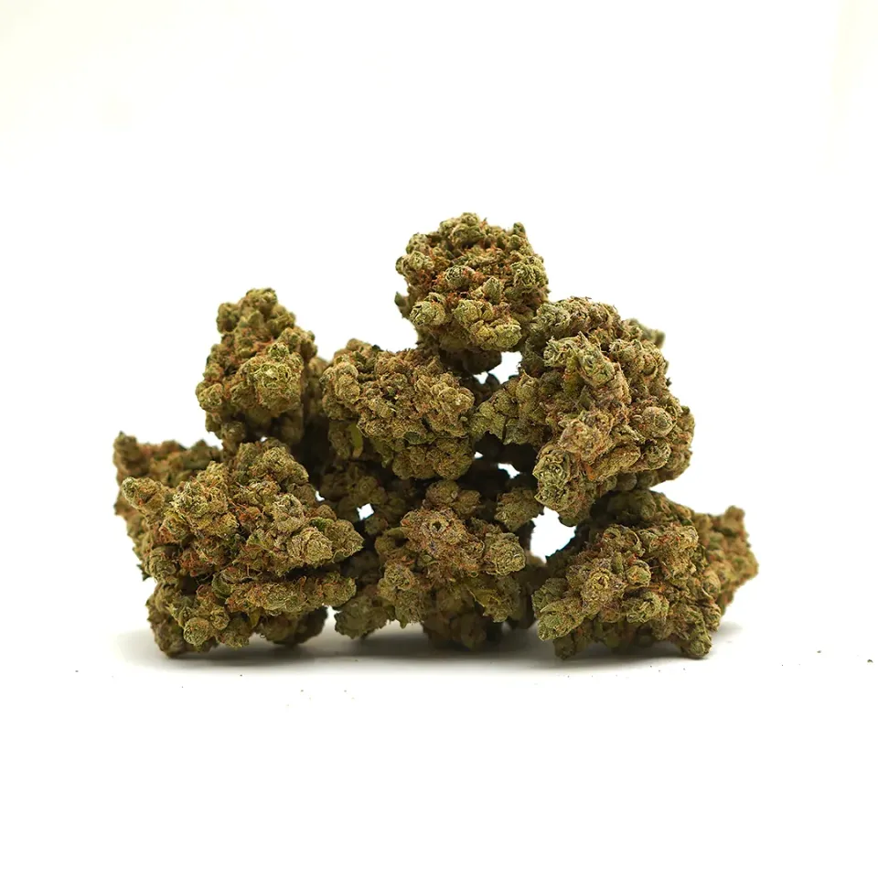 LeGrossiste Amnesia CBD-blomst 25 g – hydroponisk