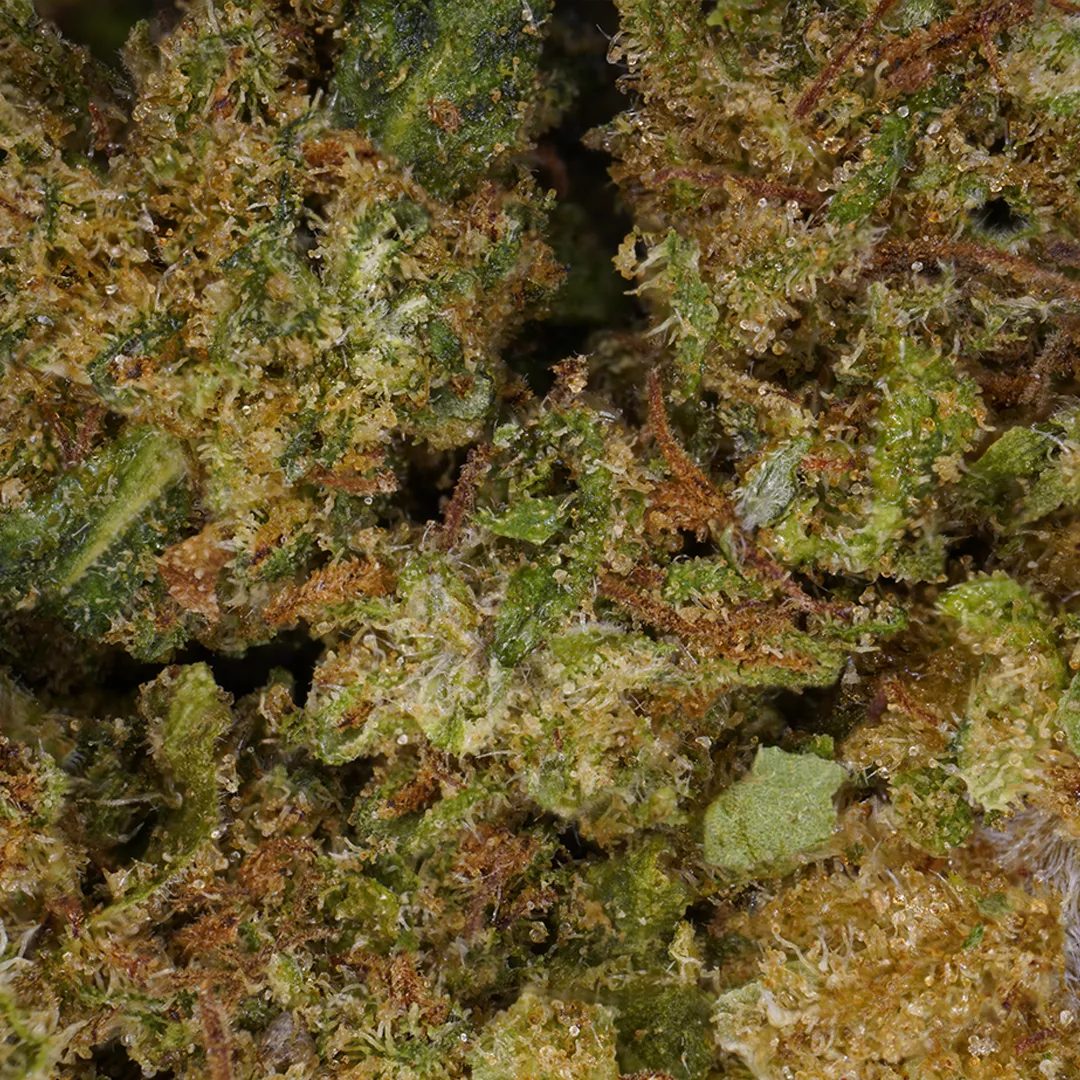 LeGrossiste Cannatonic blomst 25 g greenhouse bær