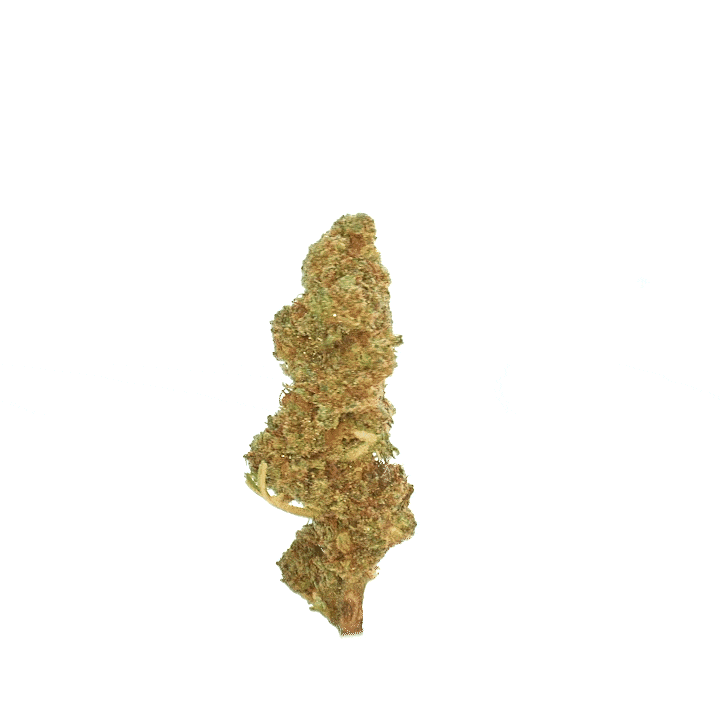 LeGrossiste Strawberry småbuds blomst 25g bær