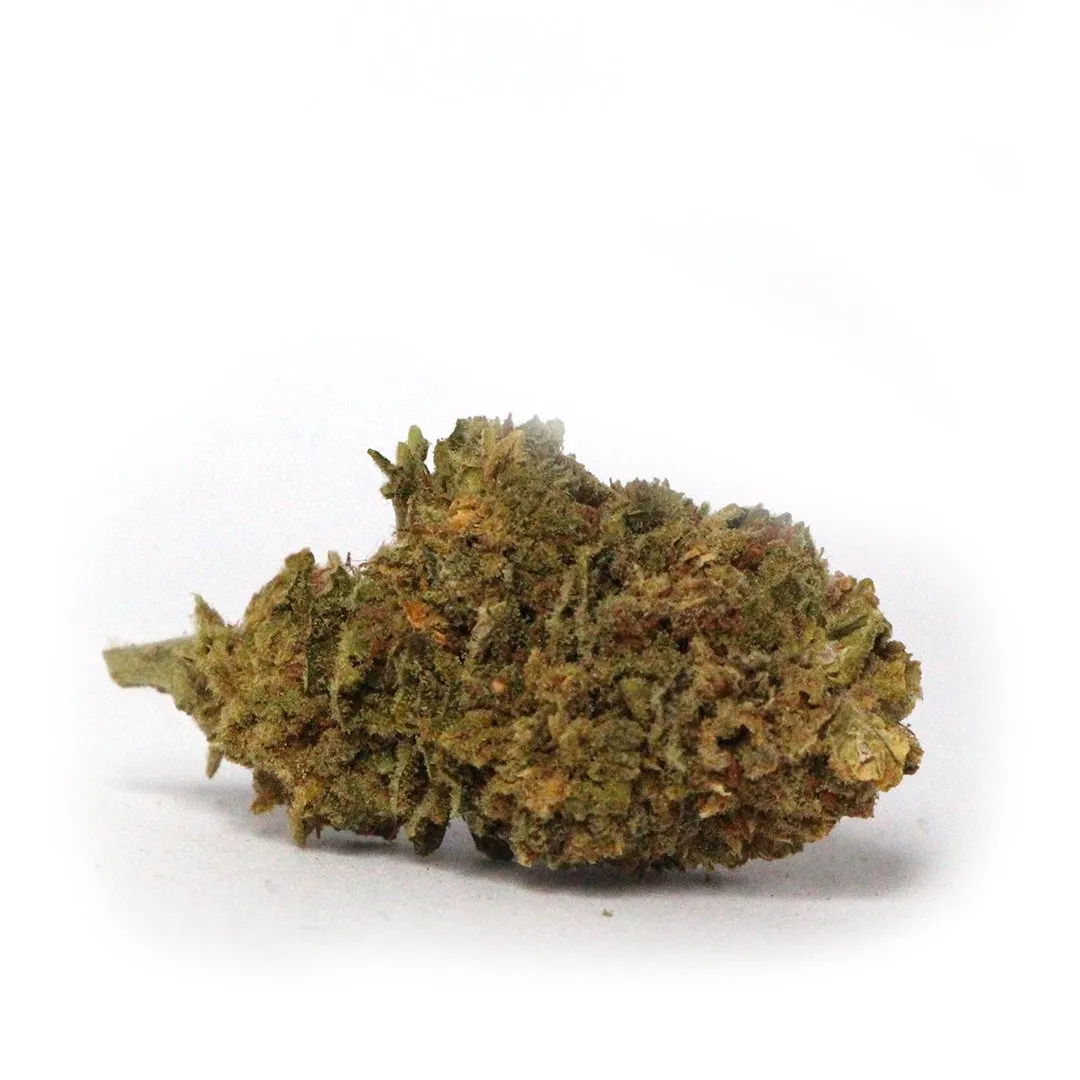 LeGrossiste Lemon CBD-blomst 25 g – indoor sitron