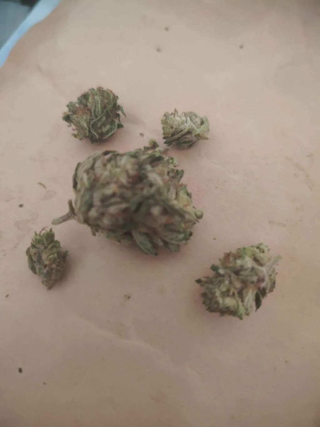 Canapuff 9 Pound Hammer 9H-HHCP topskudd 1g sitrus