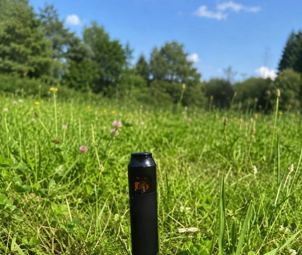 Canapuff CBD Recovery vapepatron 95% 1 ml