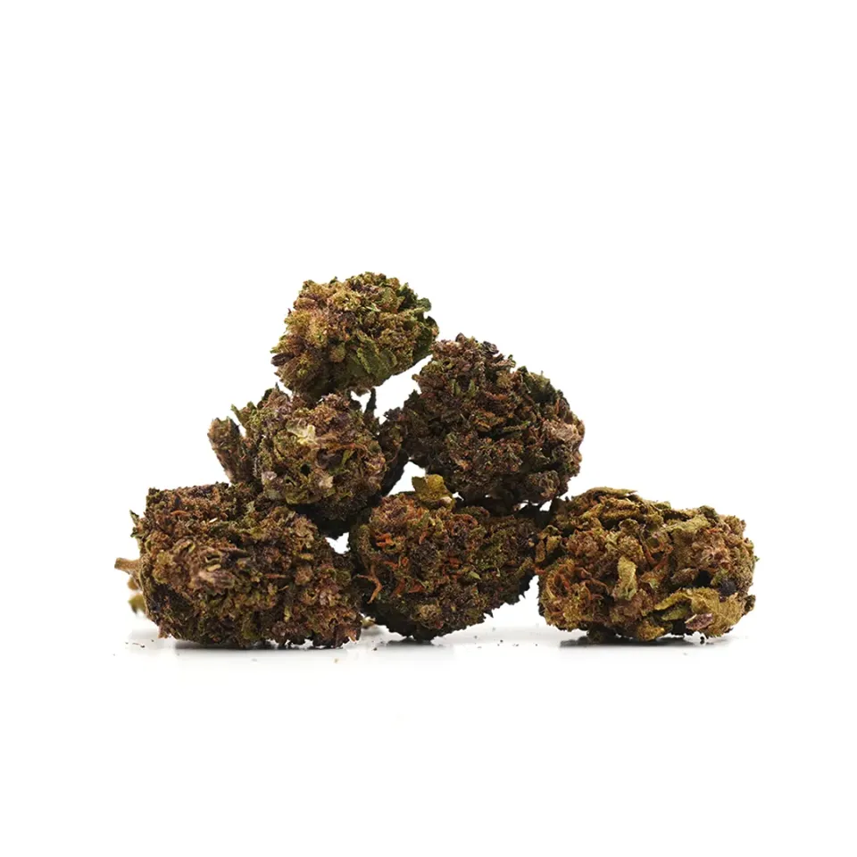 LeGrossiste Purple Haze CBD-blomst 25g småbuds
