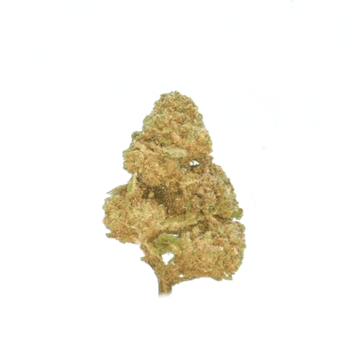 LeGrossiste Cookie Kush CBD-blomst 25 g indoor
