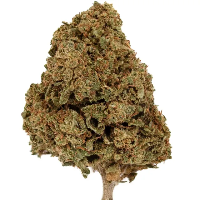 Hemeka Blueberry Haze CBD-blomst 5g greenhouse