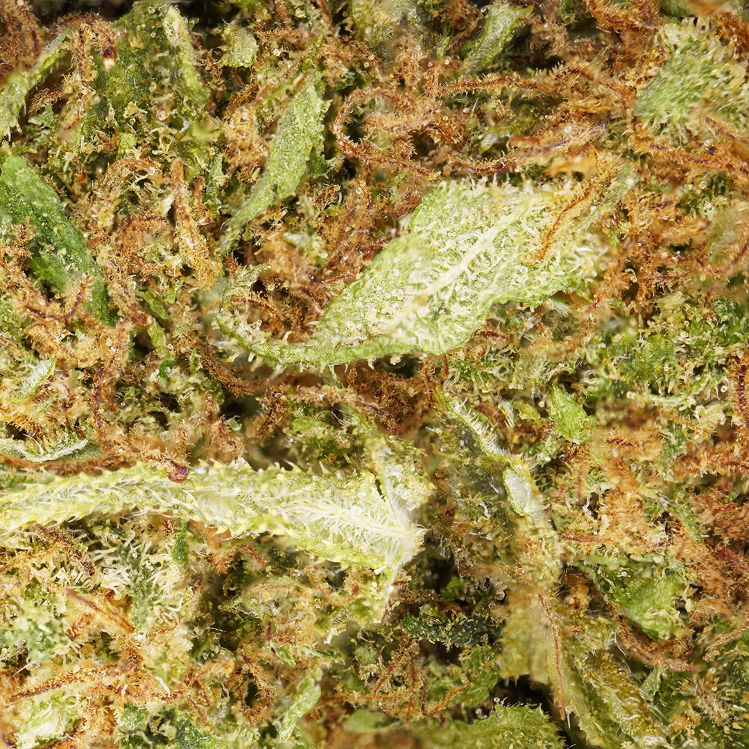 LeGrossiste White Widow CBD-blomst 25 g indoor