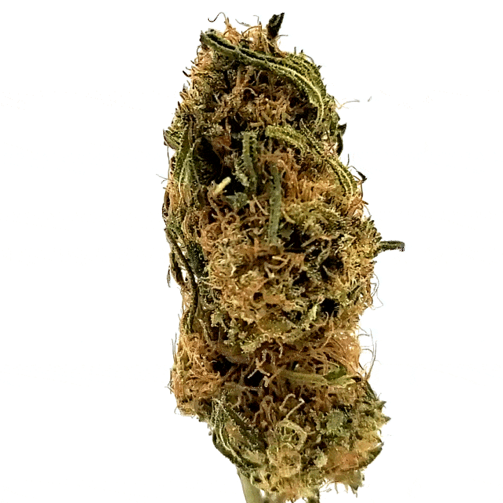 LeGrossiste Lemon CBD-blomst 2 gram outdoor sitron