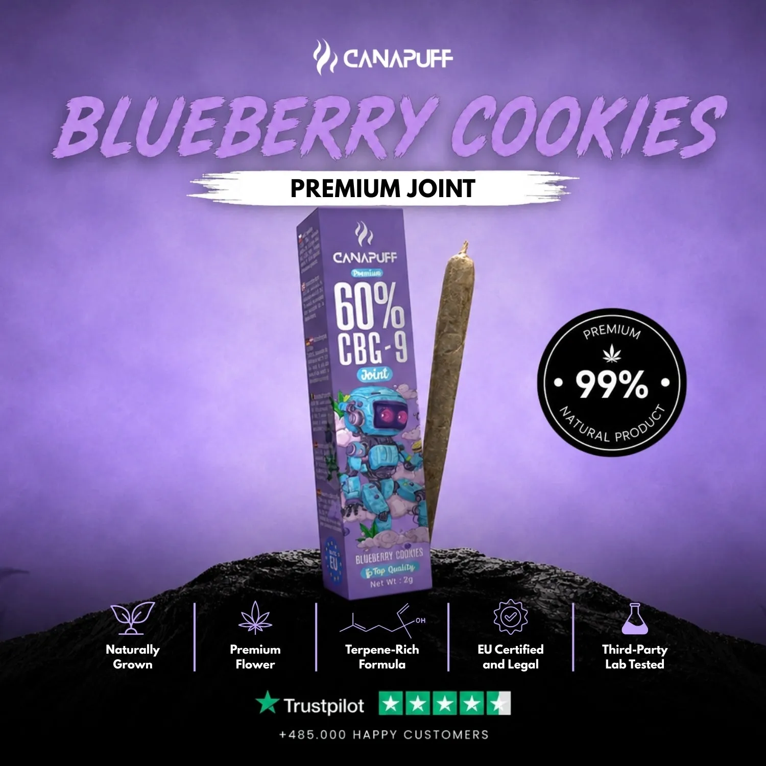 Canapuff CBG9 Blueberry Cookies joint 60% 2 g – blåbær