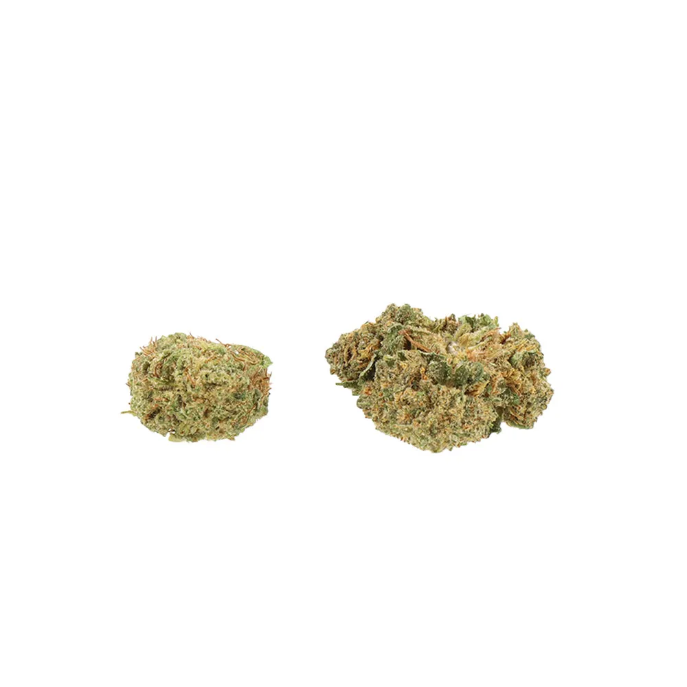 LeGrossiste Amnesia Hydro CBD-blomster 25 g små buds