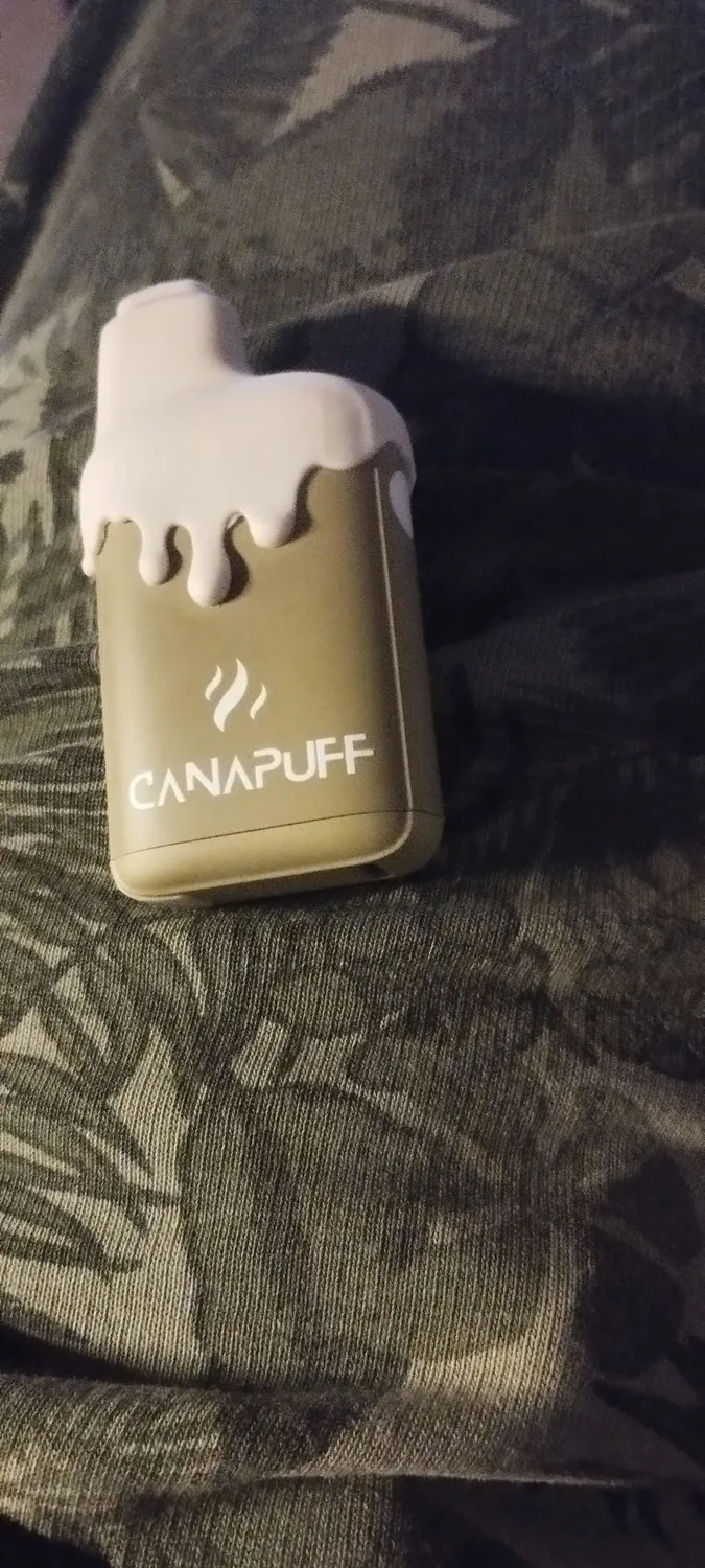 Canapuff 9H-HHC Big Bad Bear XXL vape 2 ml – skogfrisk