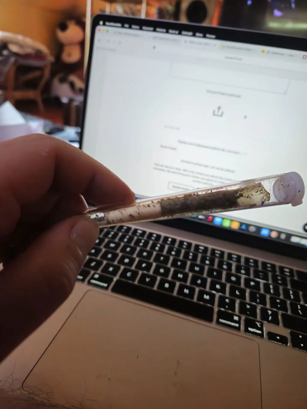 Canapuff CBG9 Blueberry Cookies joint 60% 2 g – blåbær