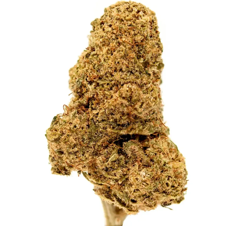 Hemeka OG Diamond CBD-blomst 1g indoor