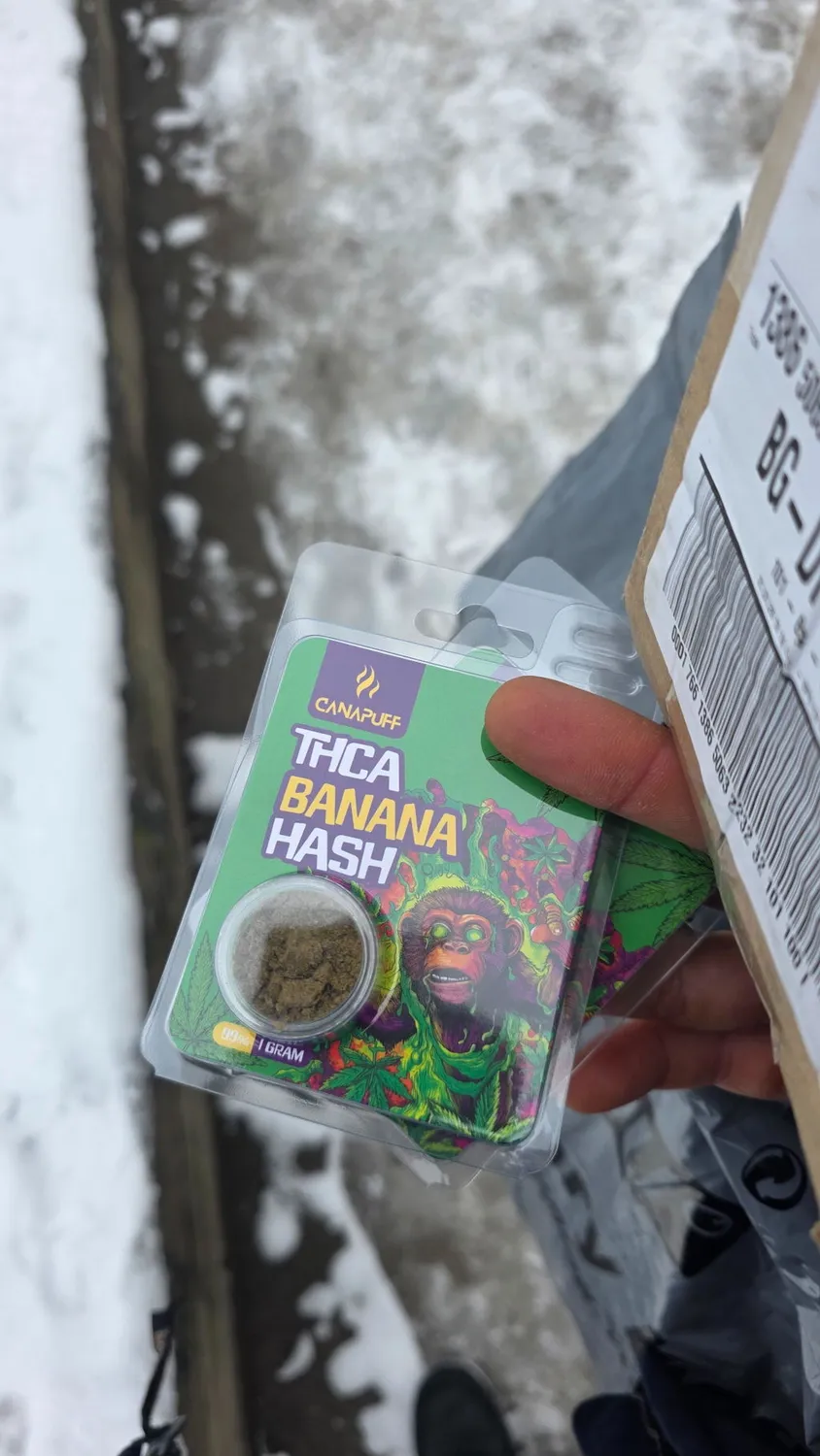 Canapuff THCA Hash Banana 99% 1 g søt frukt