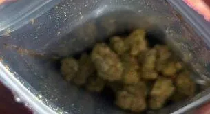 Canapuff Panic Monkey THCA-blomster 1 g 99% frukt