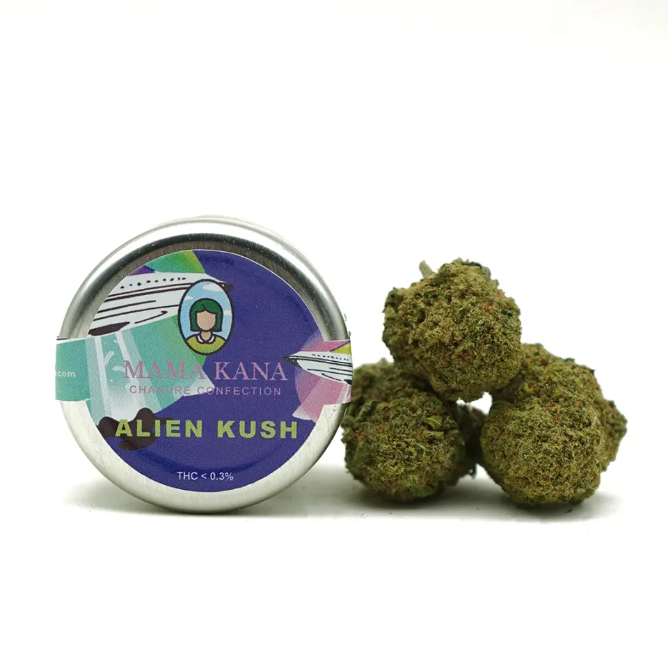 LeGrossiste Alien Kush CBD-blomst hydro 2g treaktig