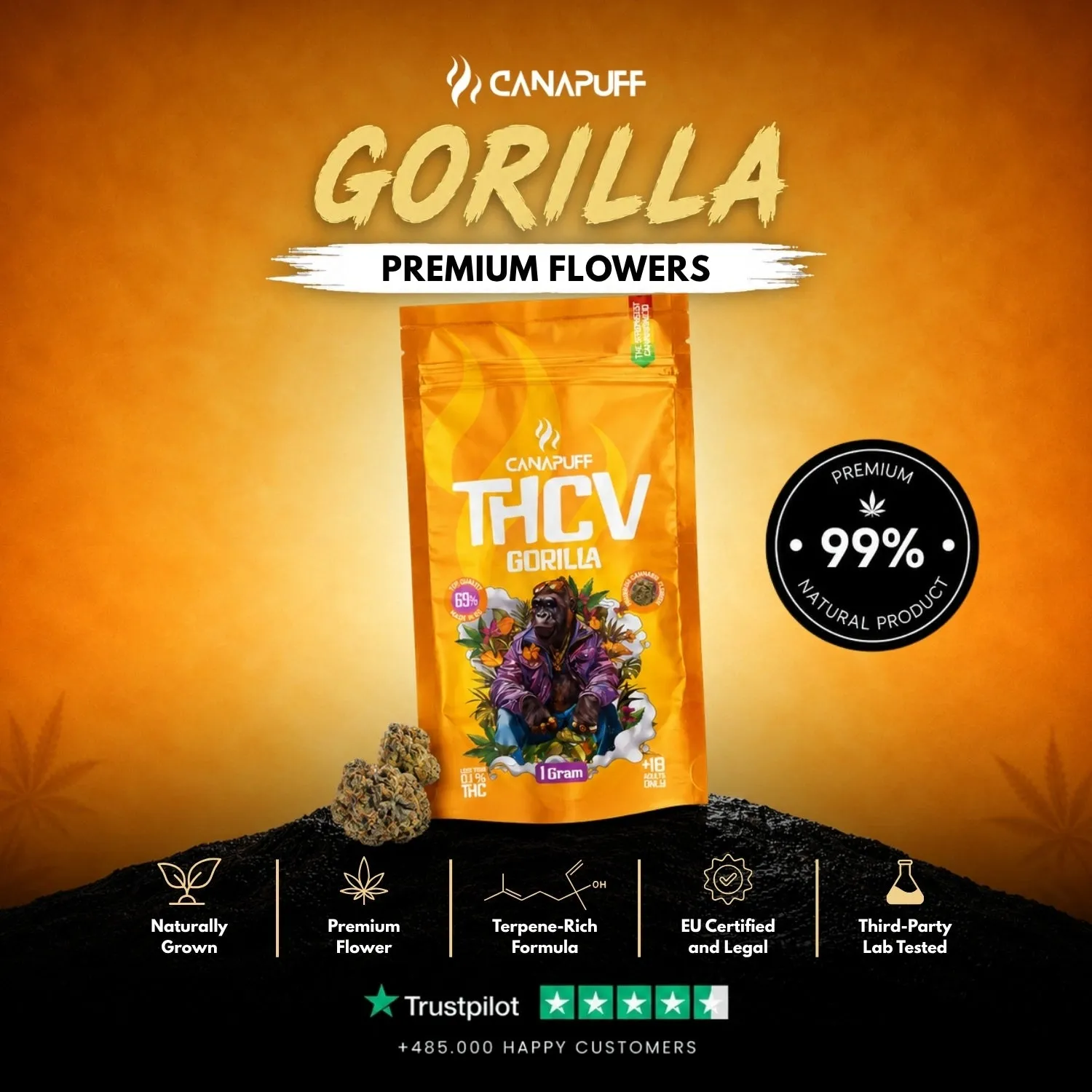 Canapuff Gorilla 69% thcv-blomster 1 g fruktig