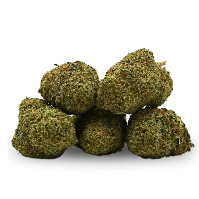 LeGrossiste L.A Cali CBD-blomst 25 g hydro