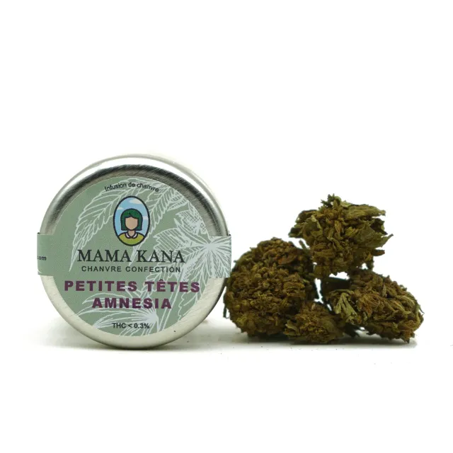 LeGrossiste Amnesia småbuds 5 bokser x 2g drivhus
