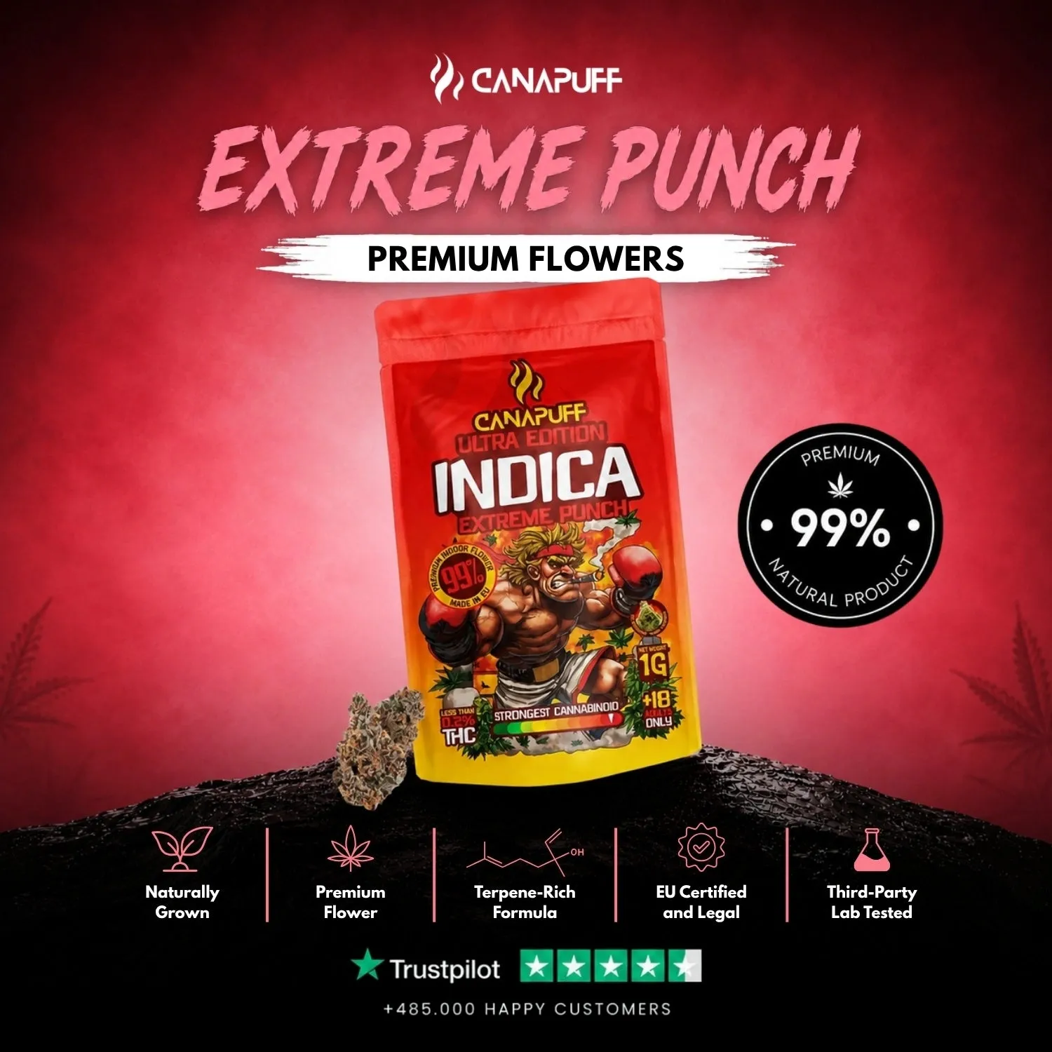 Canapuff Extreme Punch Ultra Edition indica blomst 99% tette knopper