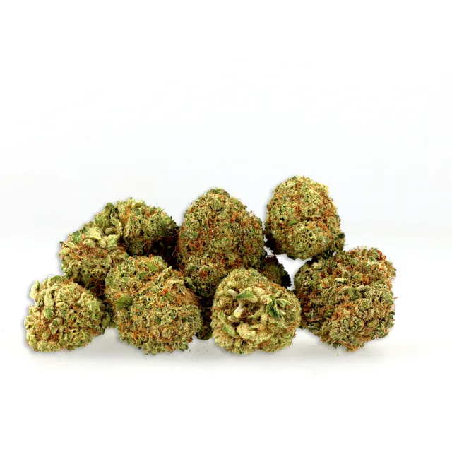 LeGrossiste Mango Haze CBD-blomst 25 g hydro søt