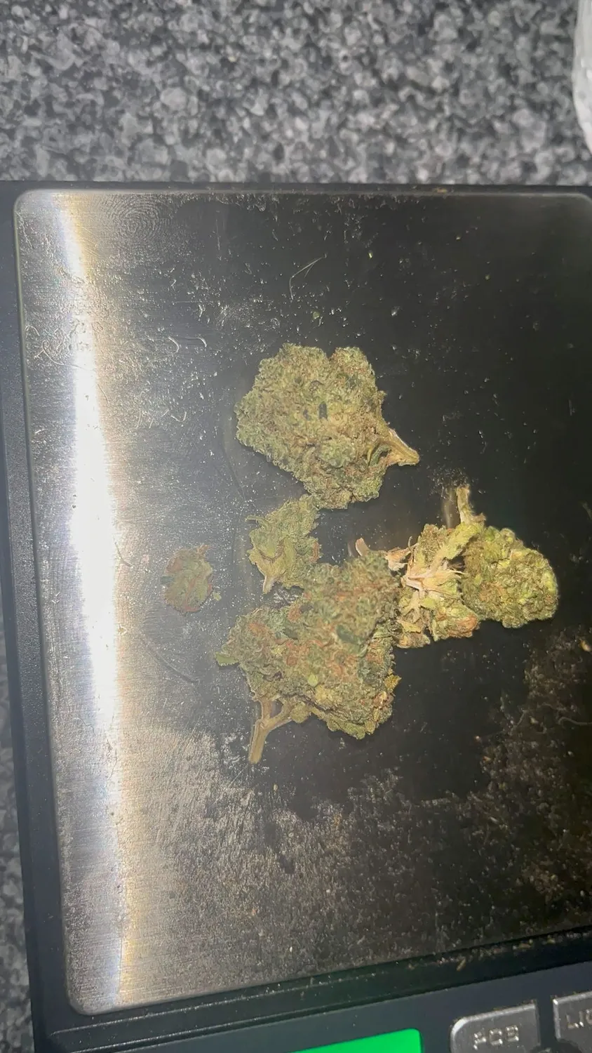 Canapuff Atomic Monkey THCA topskudd 1 g 99 %
