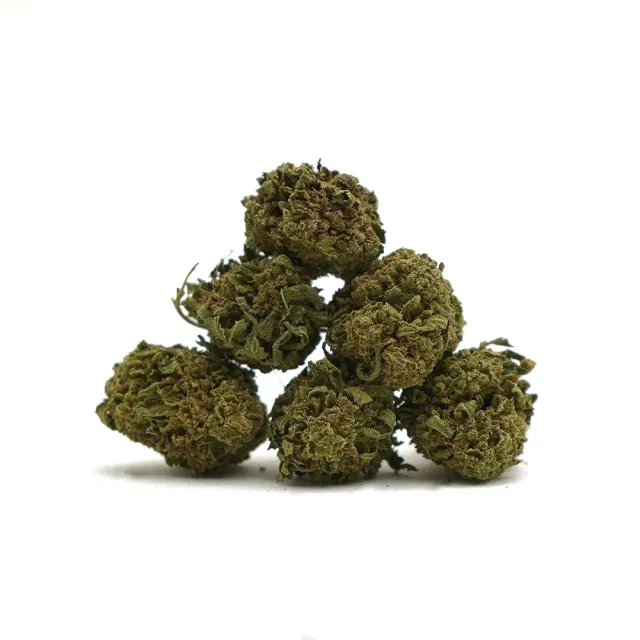 LeGrossiste Lemon CBD-blomst 25 gram småknopper