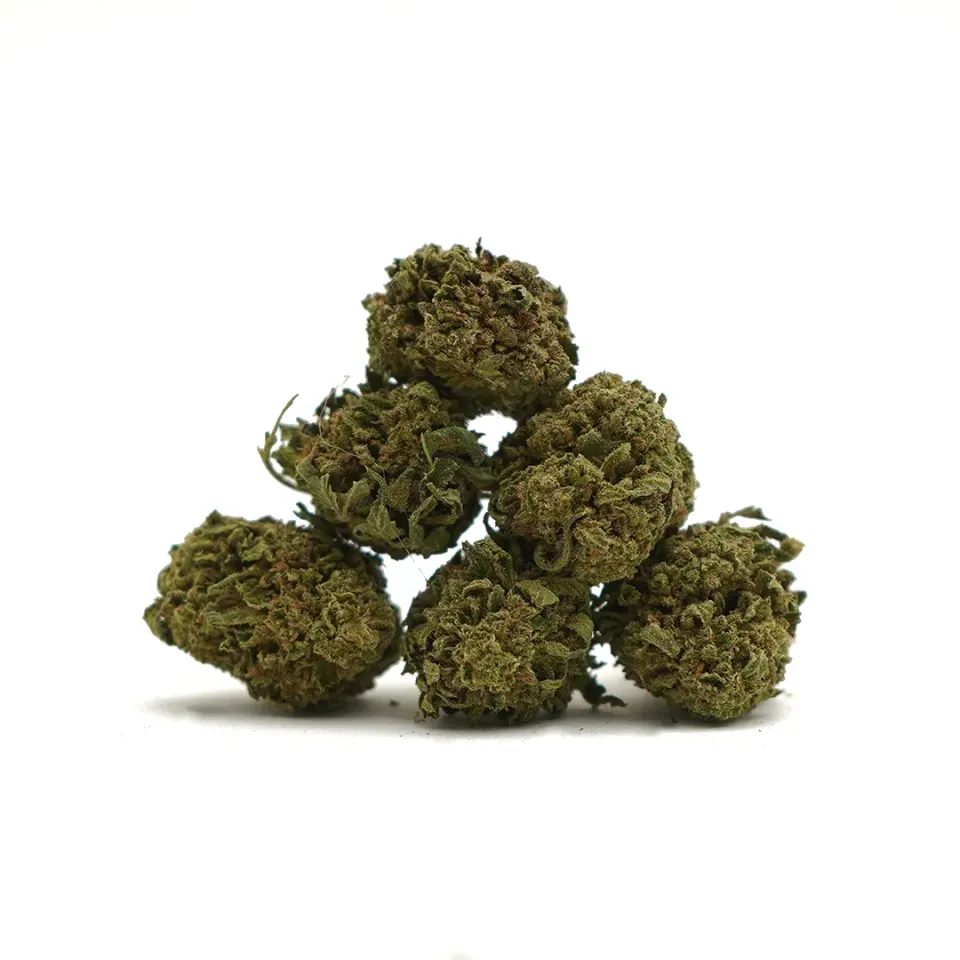 LeGrossiste Lemon CBD-blomst 25 gram småknopper