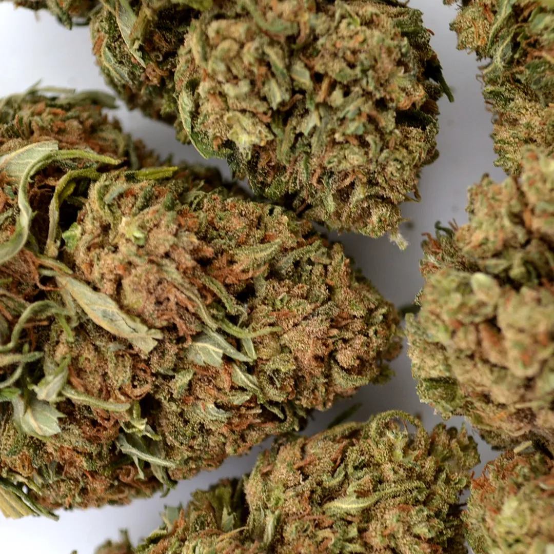LeGrossiste Pineapple Express CBD-blomst 50g ananas