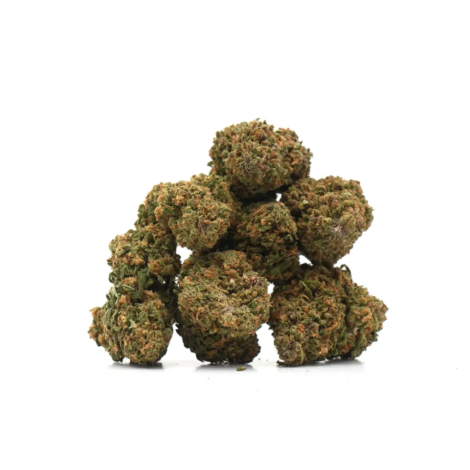 LeGrossiste Tropical Haze blomst 25g indoor frukt