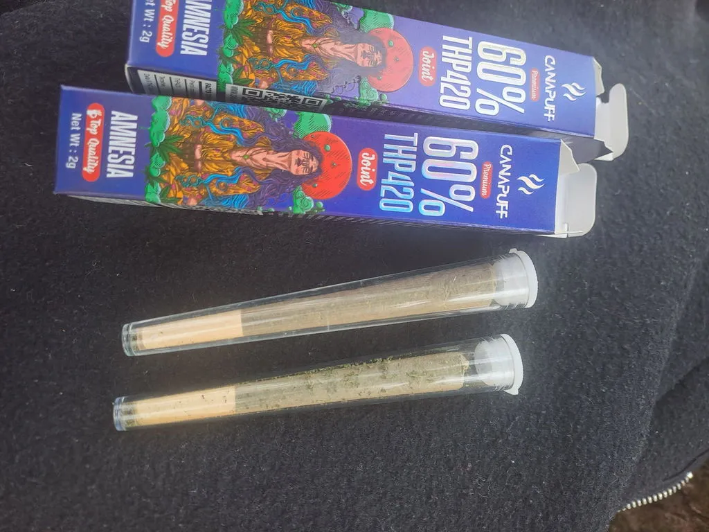 CanaPuff THP420 Amnesia joint 2 g 60% krydret urt