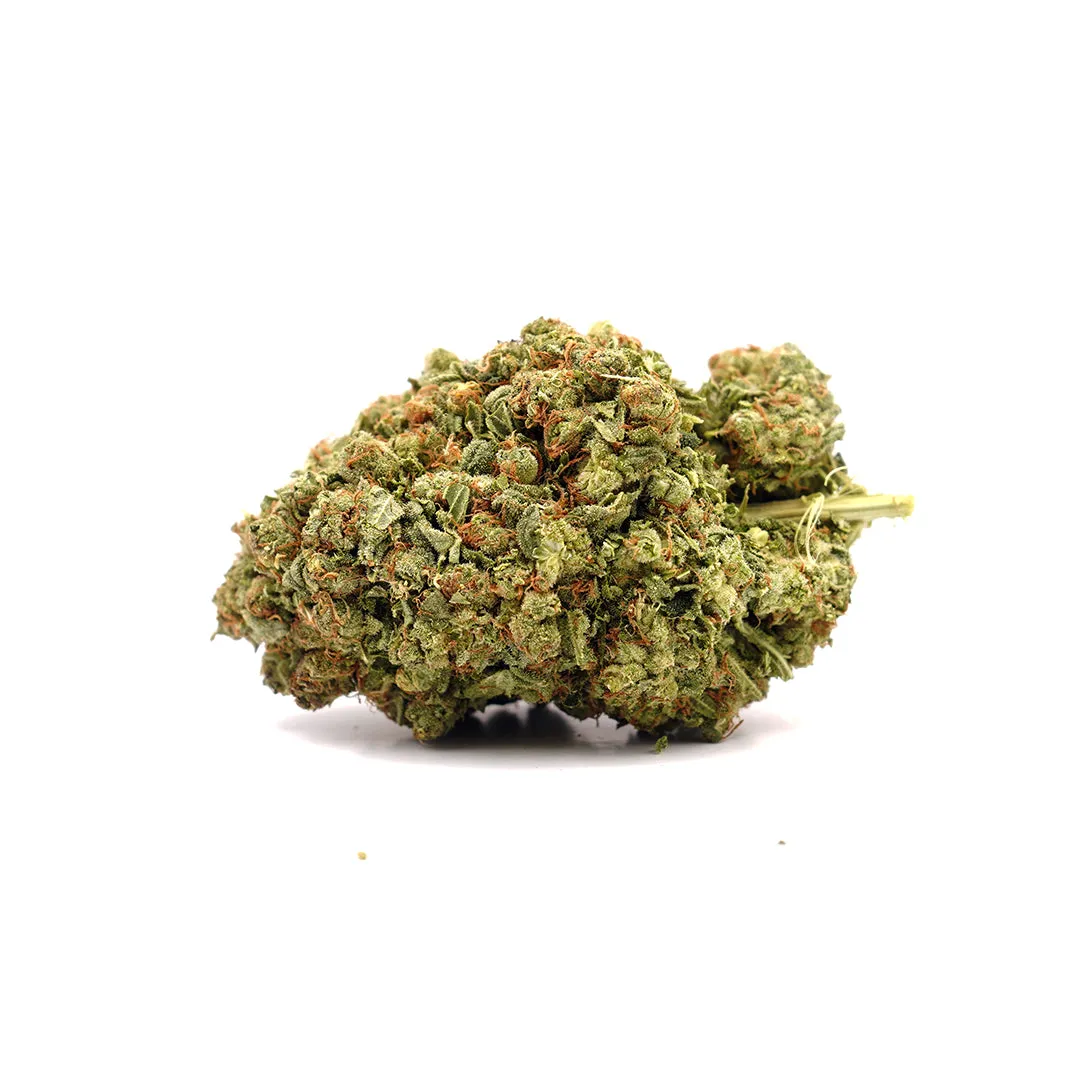 LeGrossiste Frozen CBD-blomst 25g hydro mentol