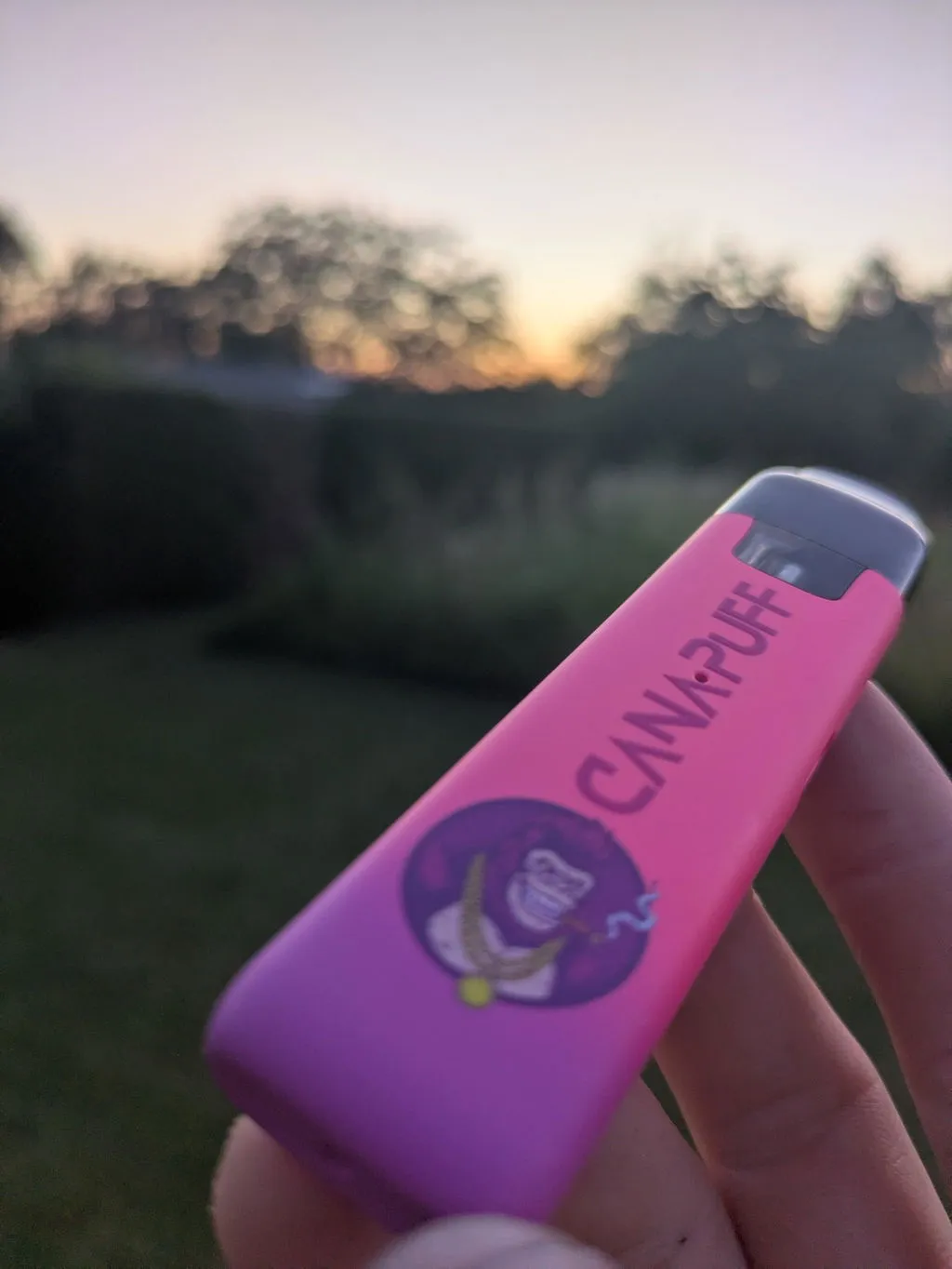 Canapuff Jungle Monkey T8HC vape 1 ml 95% citrus