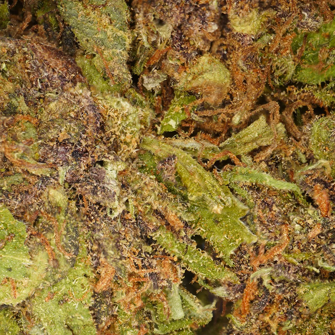 LeGrossiste Sour Diesel CBD-blomster 25g drivhus