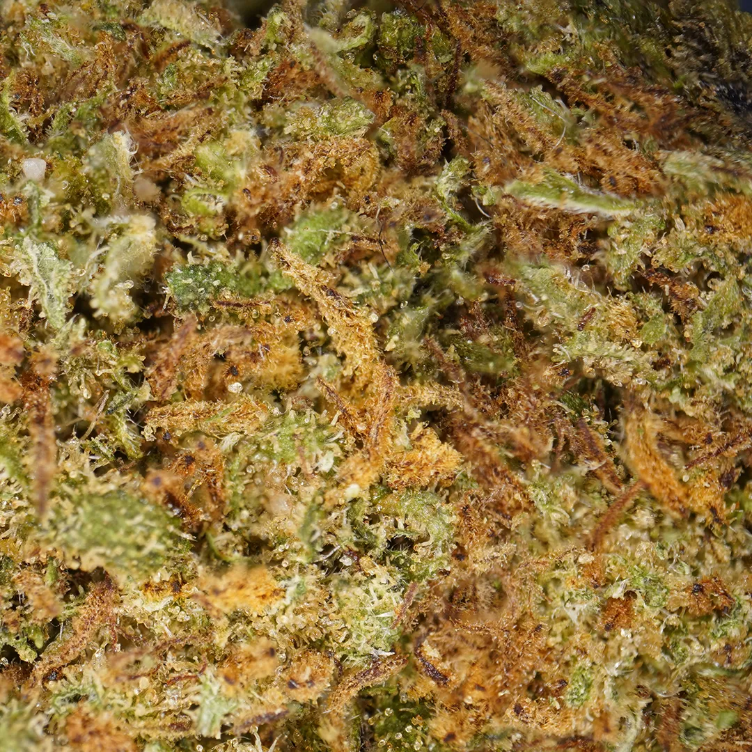 LeGrossiste Royal Cheese CBD-blomst 25 g ost