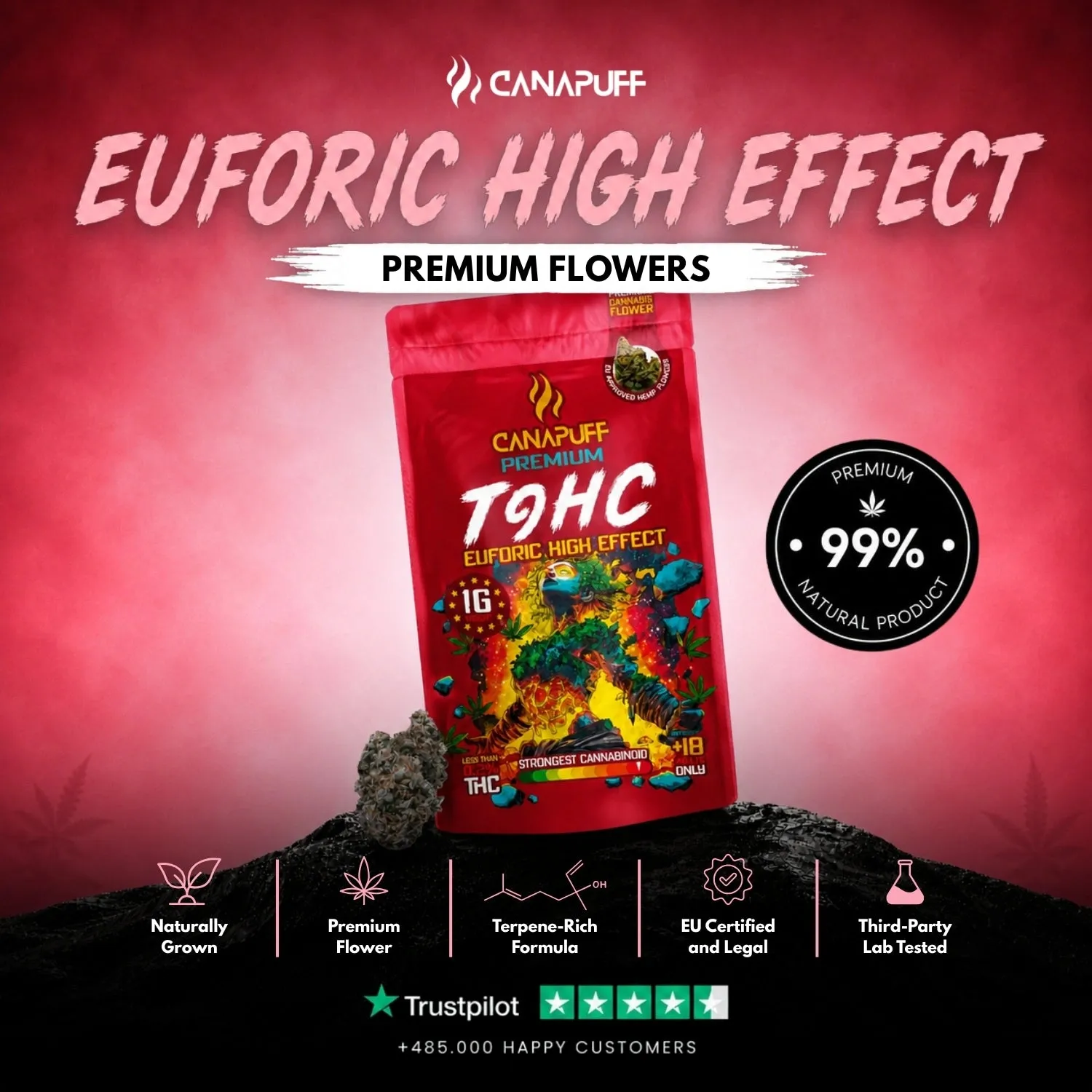 Canapuff Euforic T9HC-blomst 1g tropisk