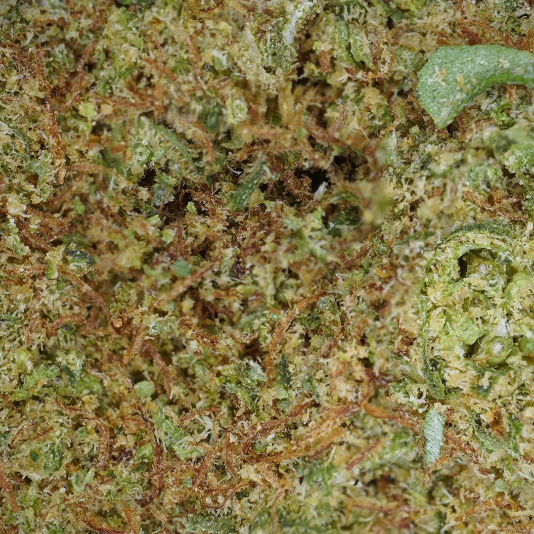 LeGrossiste Kryptonite Hydroponisk CBD-blomst 25g fyldig