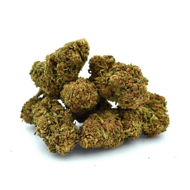LeGrossiste Critical 2.0 hydro CBD-blomst 25g ananas
