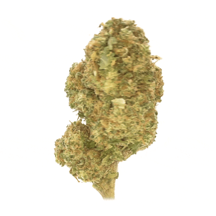 LeGrossiste Cali Grape CBD-blomst 25 g drue