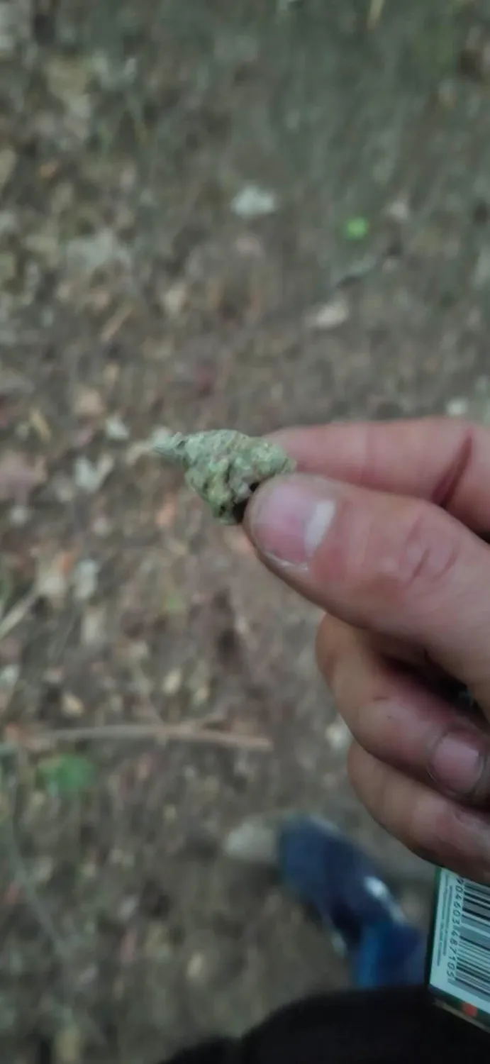 Canapuff White Truffle 9H-THC joint 1 stk 99%
