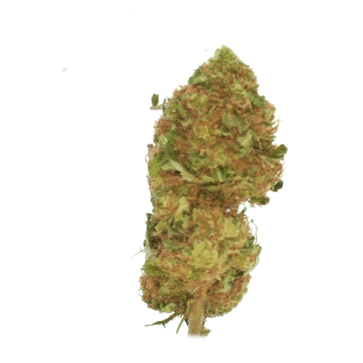 LeGrossiste White Widow CBD-blomst 25 g indoor