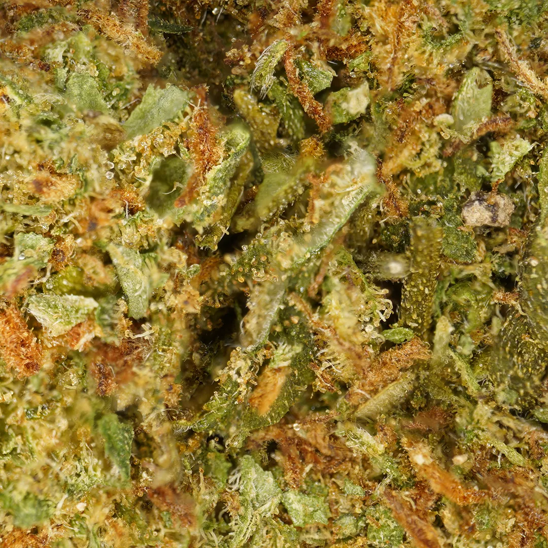 LeGrossiste Wedding Cake CBD blomster 25 g indoor