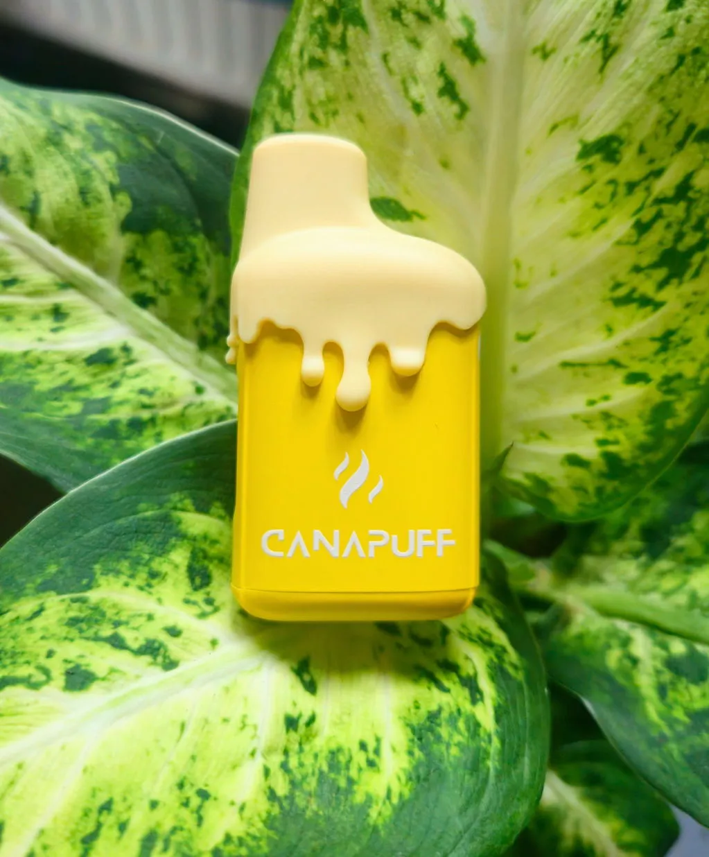 Canapuff Horchata 99% 9H-HHCP-vape 2 ml kremet
