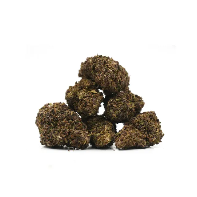 LeGrossiste Purple Haze Sous-serre CBD-blomst 25 g fruktig