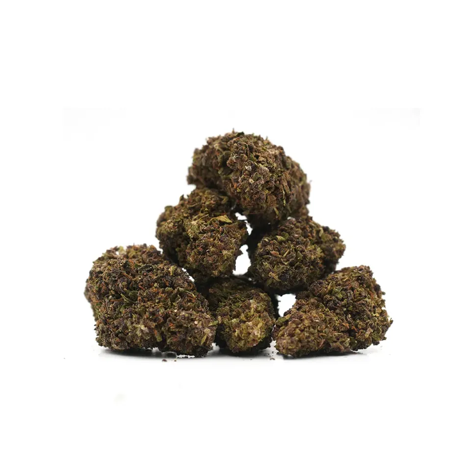 LeGrossiste Purple Haze Sous-serre CBD-blomst 25 g fruktig