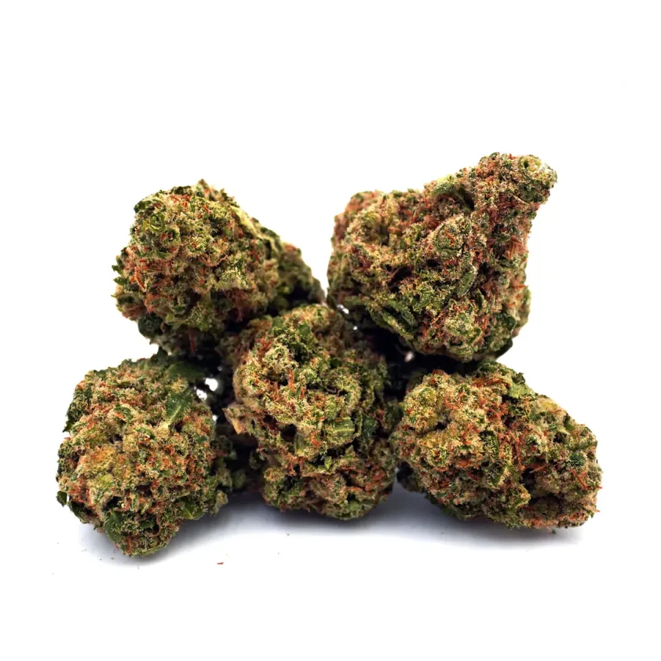 LeGrossiste Blue Dream CBD-blomst hydro 25 gram