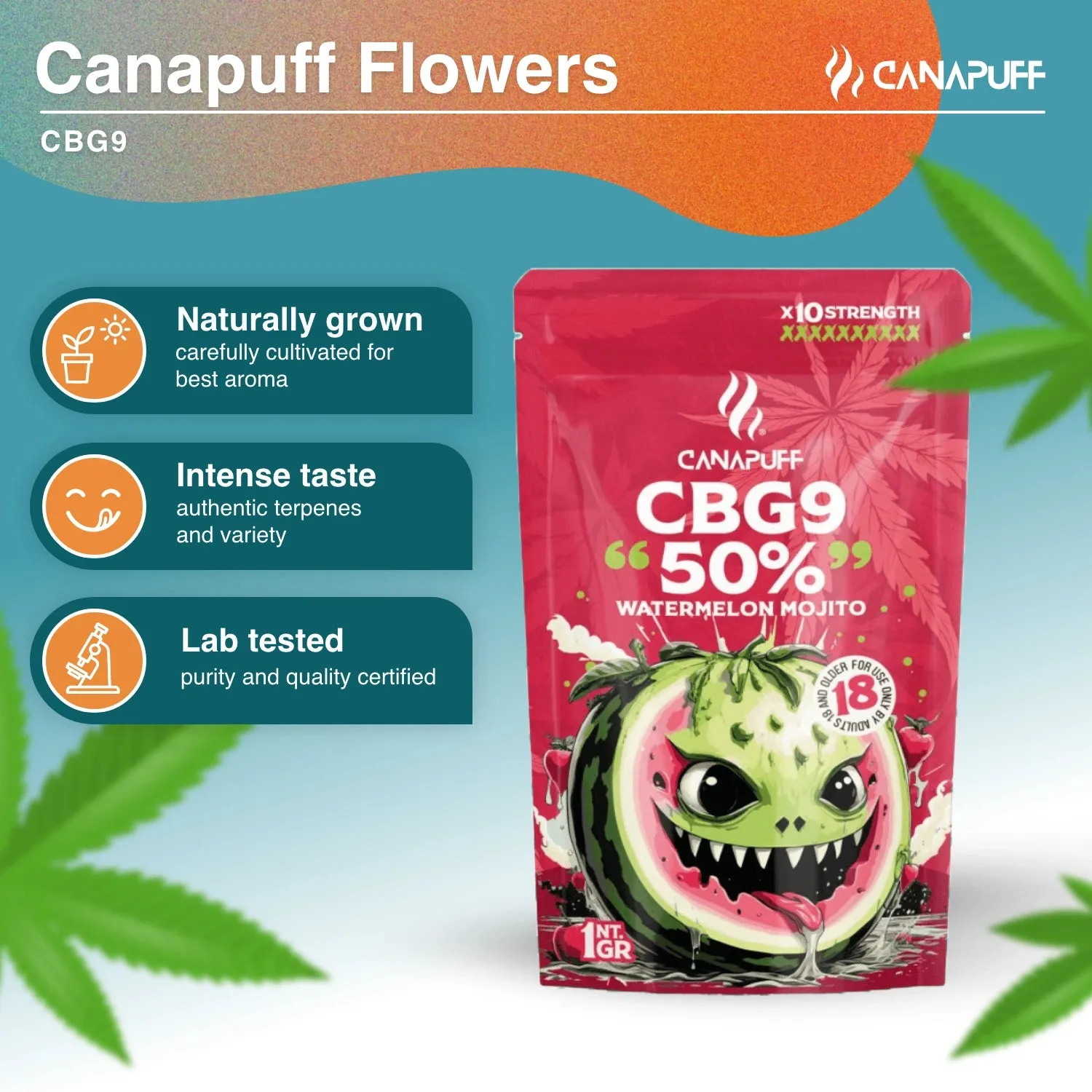 Canapuff Watermelon Mojito 50% CBG9-blomst 1g