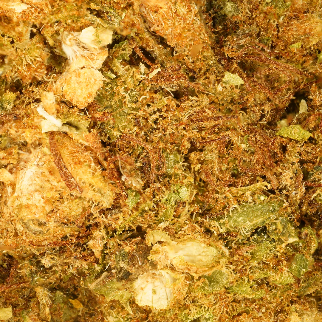 LeGrossiste Super Skunk CBD-blomster 25 g drivhus anis