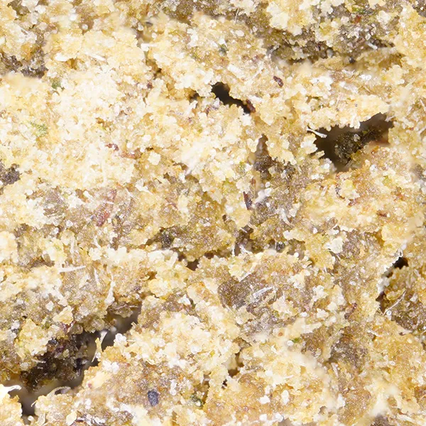 LeGrossiste Banana Zkittlez CBD-hasj 25 g 20% CBD
