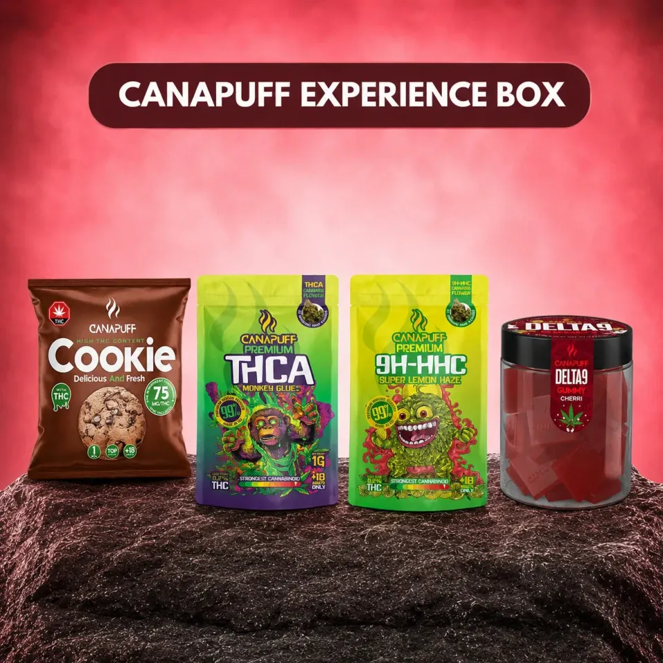 Canapuff Experience Box bundle 4 produkter